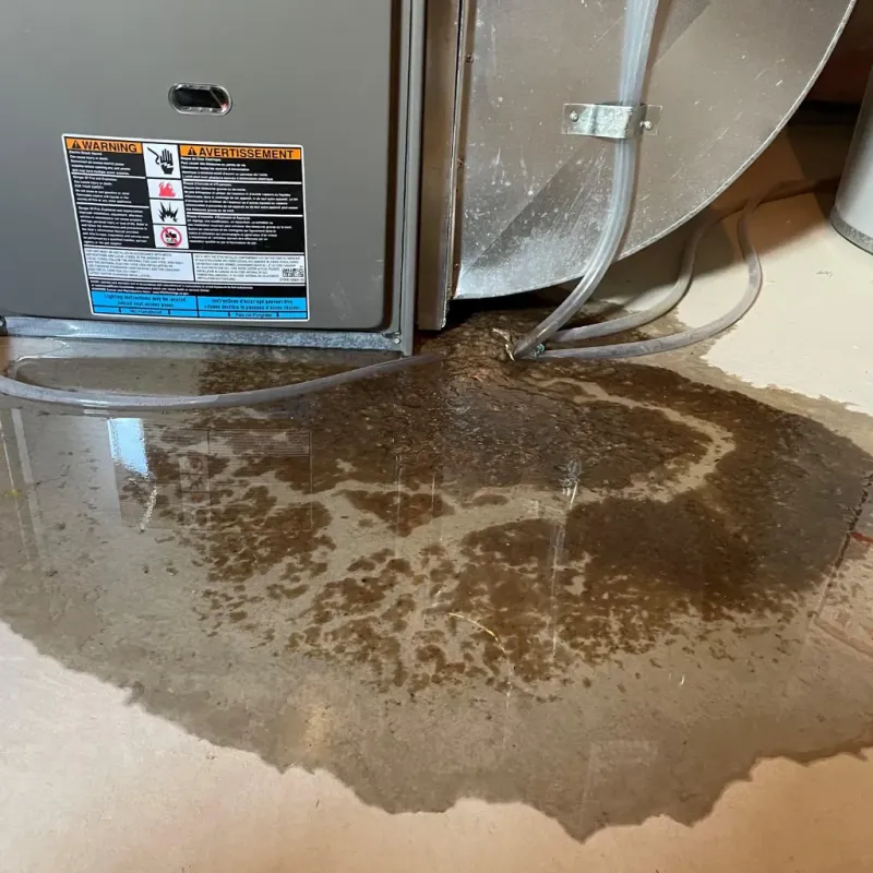 Appliance Leak Cleanup in Ludlow, MA